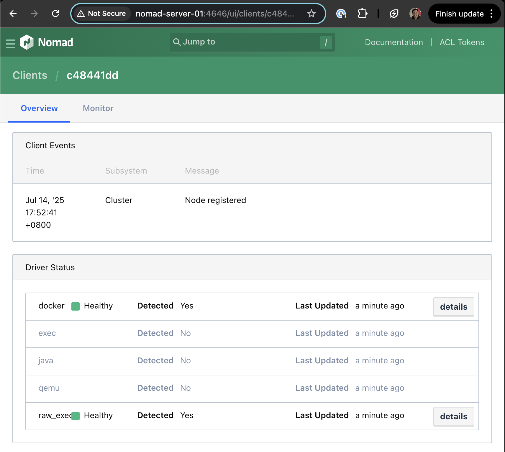 Nomad web UI clients overview