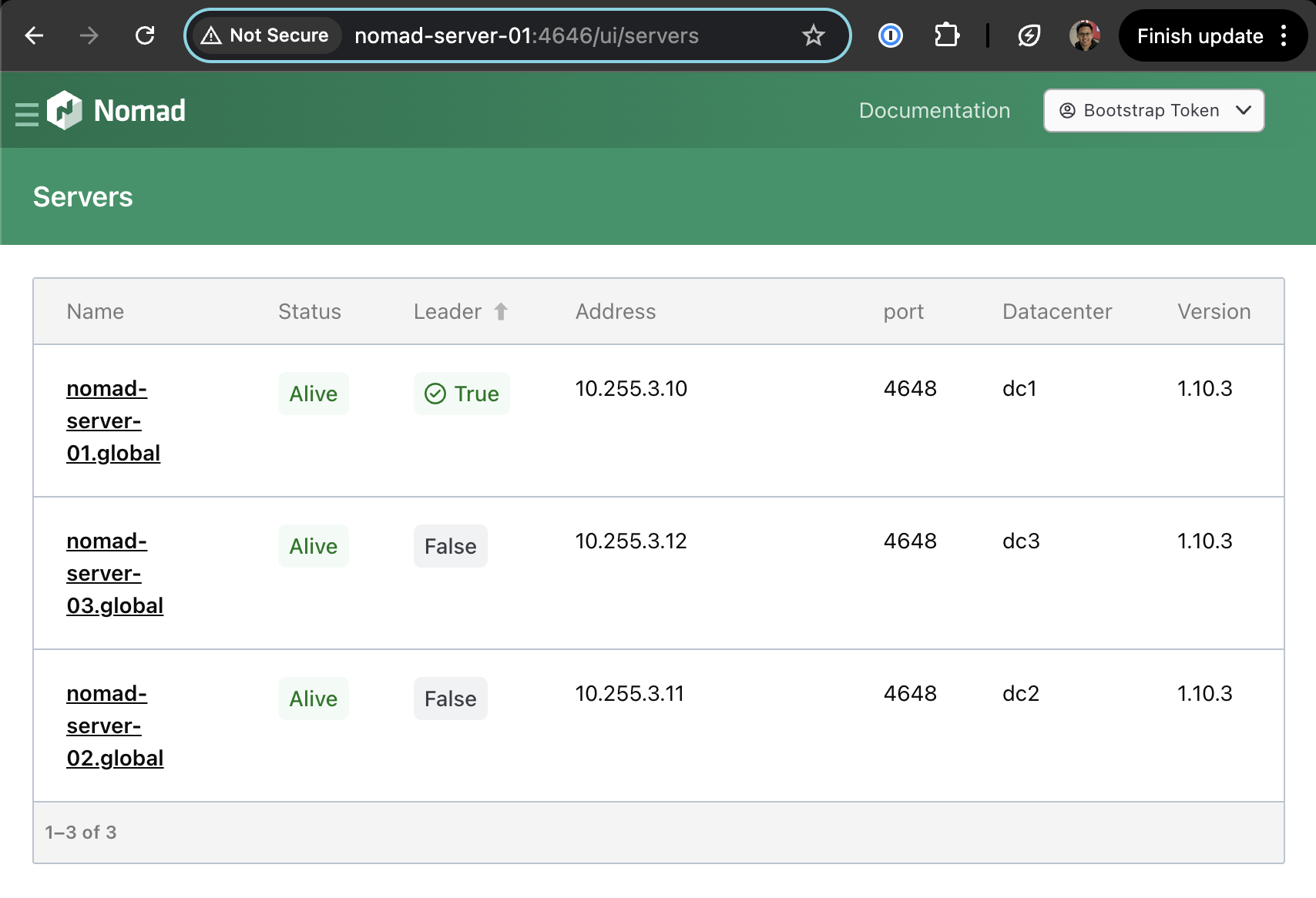Nomad web UI servers page